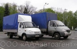 Газель