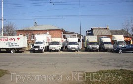 Газель