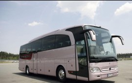 ALEX-BUS