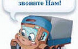 Газель