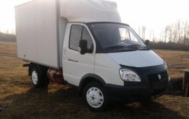 газель
