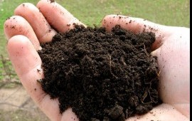 Продажа торфа в Калужской области
