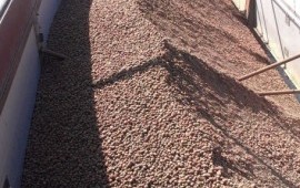 Продам Керамзит оптом