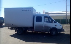 Газель