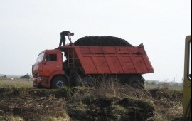 Торф с доставкой самосвалом