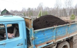 Чернозем плодородный