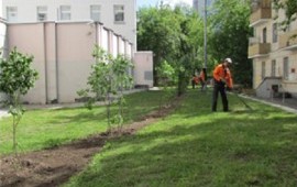 Организация благоустройства