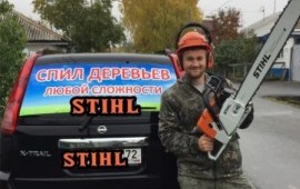 Спил деревьев