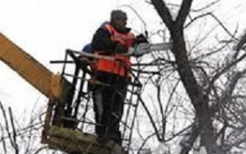 Обрезка деревьев