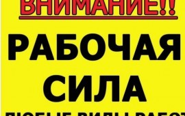 Вывоз, разнорабочие