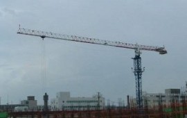 Башенный кран китайский Top Sky TT5516-8