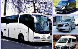 Аренда автобуса 8- 50 мест