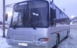 Заказ автобусов услуги пассажирские перевозки