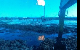 Экскаватор в аренду сдам