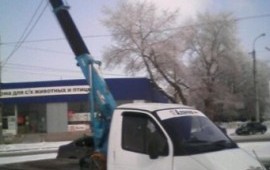 Услуги газель манипулятор
