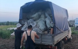 ВЫВОЗ СТРОИТЕЛЬНОГО И БЫТОВОГО МУСОРА, ГРУЗЧИКИ.