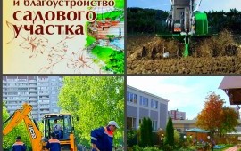 Благоустройство участка.