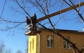 Спил, выкорчевывание, расчистка участка