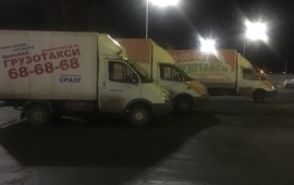 Резеда Соколова