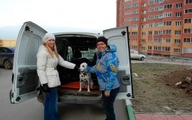 ЗООтакси для ваших питомцев