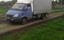 Газель