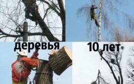 Спил дерева выпилим любой участок