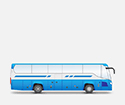 Автобусы