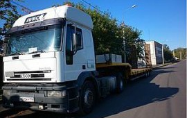 IVECO
