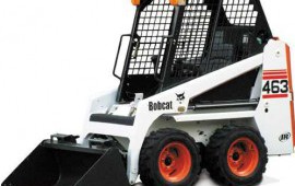 Bobcat