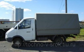 Газель