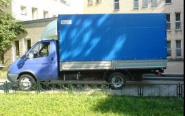 Газель