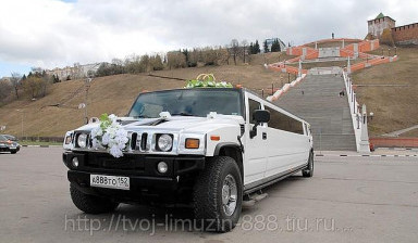 Hummer absolutely white
