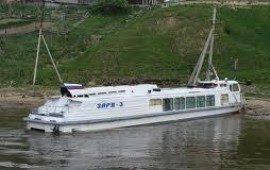 Заря-317