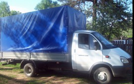 газель