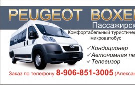Pegeot Boxer