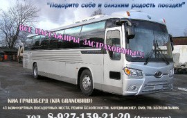 KIA GRANDBIRD