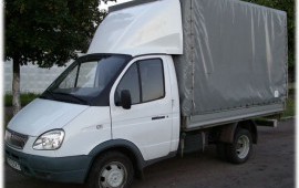 газель
