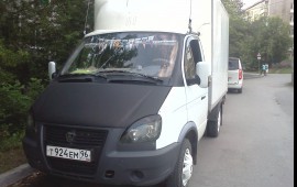 Газель