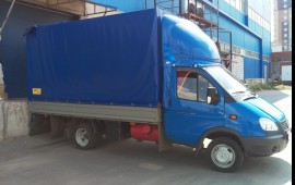 Газель