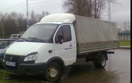 газель