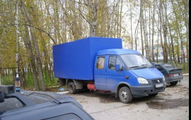 Газель