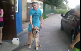 Перевозка 24часа