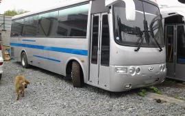 Автобус на заказ Hyundai aerotawn