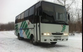 Автобус Iveco