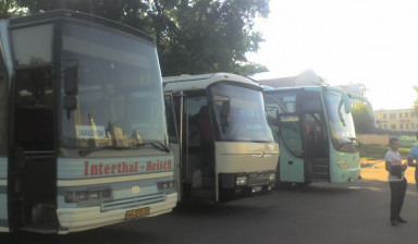 Аренда автобусов Неоплан, Мерседес, Голден Драгон