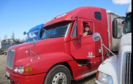 Freightliner, штора-борт, нал-безнал, по договору