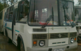 Аренда автобуса ПАЗ