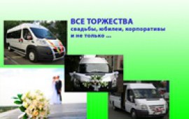 Микроавтобусы Форд Транзит