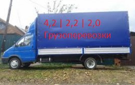 Газель в Котово