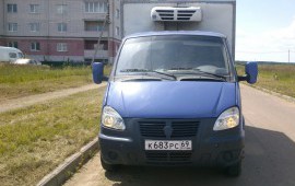 Газель